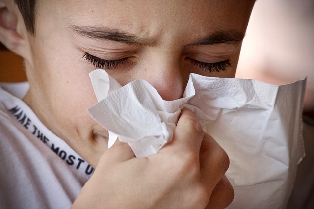 Quels peut être la cause de votre allergie ?