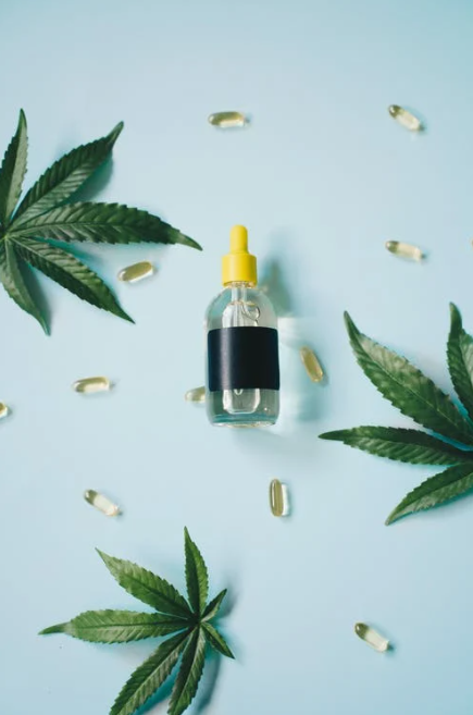 Comment peut-on choisir son huile de CBD ?